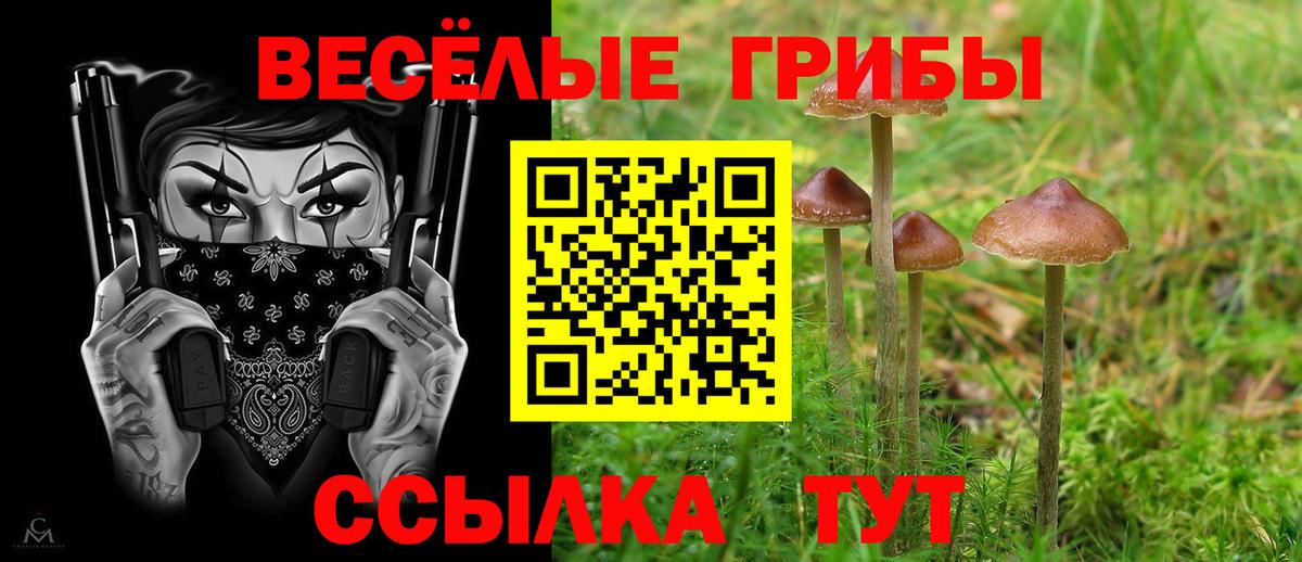 Братск  Галлюциногенные грибы MAGIC MUSHROOMS  Псилоцибиновые грибы GOLDEN TEACHER  Вход с VPN 